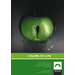 ad print - duga green colors of life
