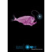 ad print - epcg anglerfish